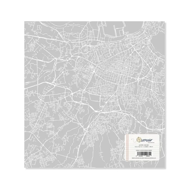 Acetato impreso COMP&Aacute;S